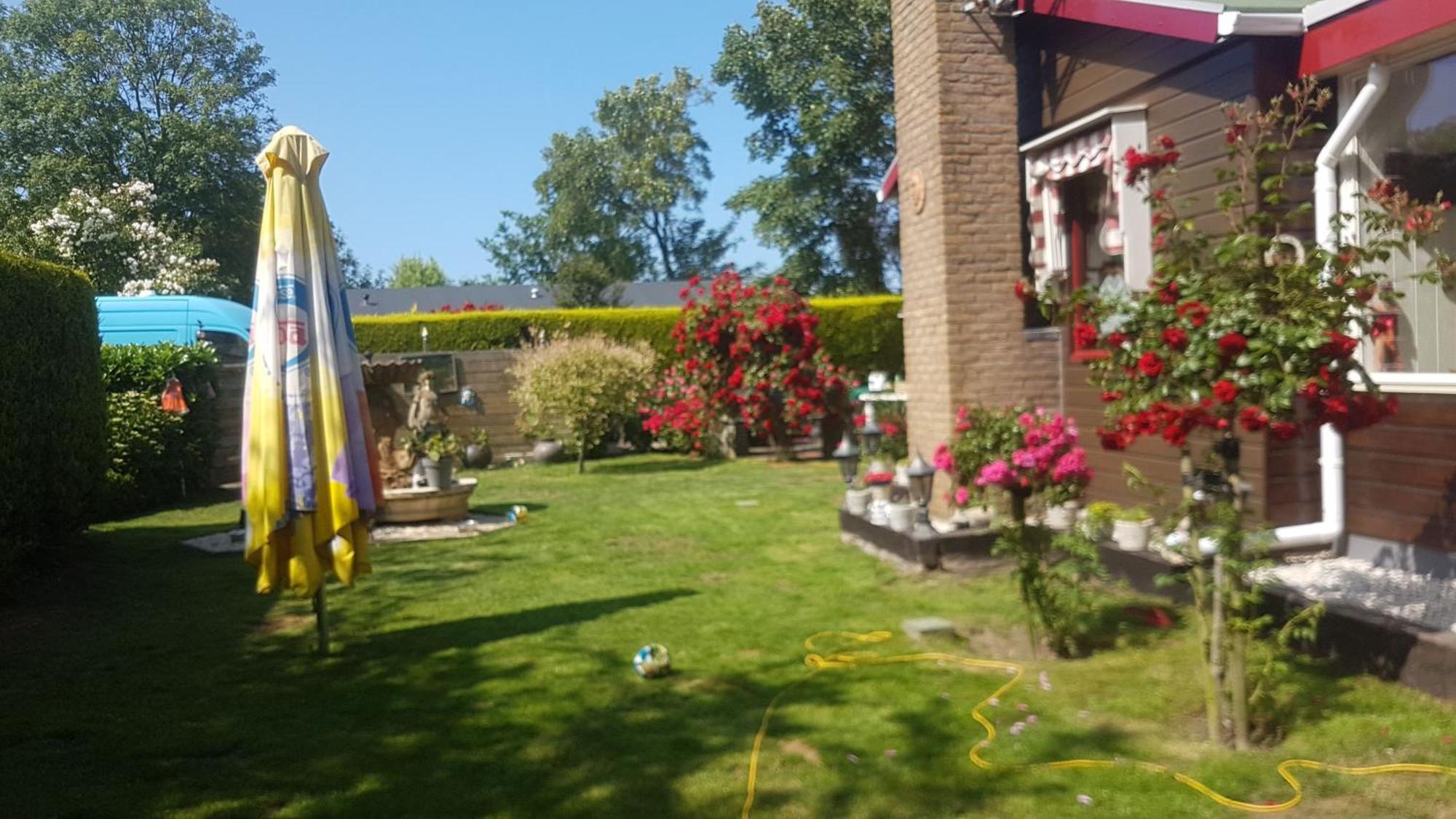 My Dream Villa Ouddorp Exterior photo